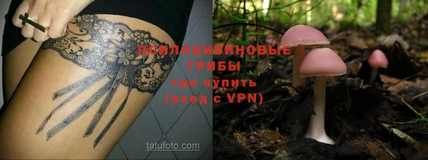 a pvp Арсеньев