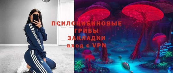 a pvp Арсеньев