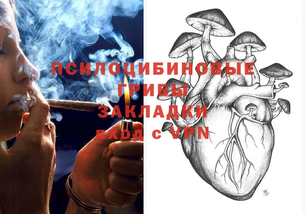spice Алексин