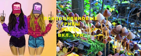 a pvp Арсеньев