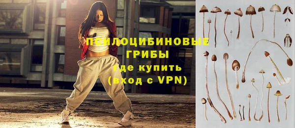 a pvp Арсеньев