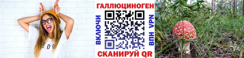Псилоцибиновые грибы Magic Shrooms  Верея 
