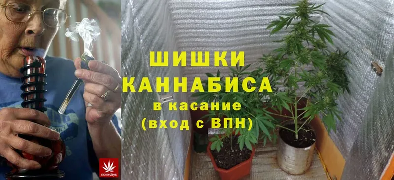 даркнет сайт  Верея  Конопля SATIVA & INDICA 